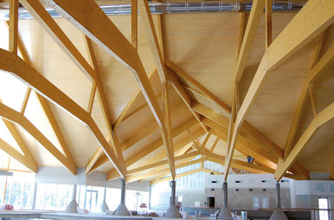 Duo / Trio and Glulam Beams in use